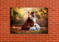 Perros 154 - tienda online