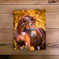 Portallaves de pared Caballos 16 - comprar online