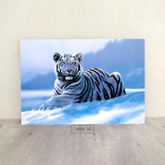 Tigres 16 en internet