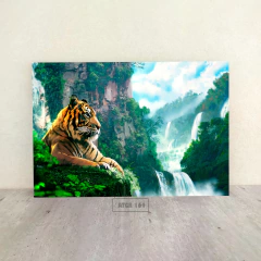 Tigres 164 en internet