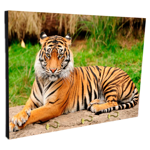 Portallaves de pared Tigres 166