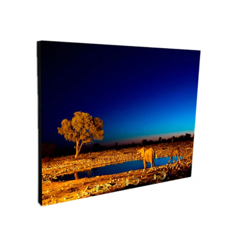 Portallaves de pared Elefantes 18