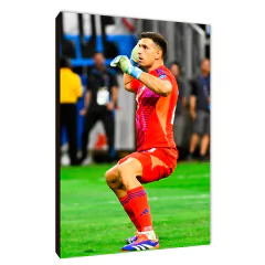 Copa América 2024 18