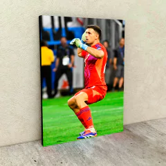 Copa América 2024 18 en internet