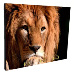 Portallaves de pared Leones 191