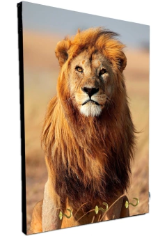 Portallaves de pared Leones 200 - comprar online