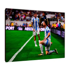 Copa América 2024 20