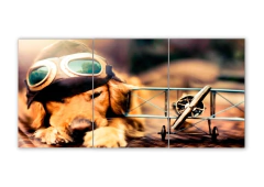 Tríptico simple Perros 20 - comprar online