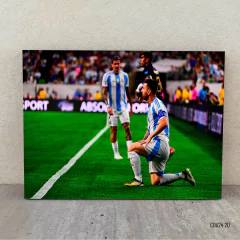 Copa América 2024 20 - comprar online