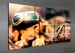 Tríptico simple Perros 20 en internet