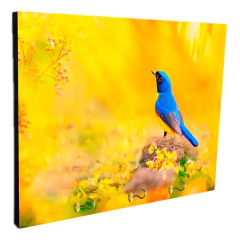 Portallaves de pared Pájaros 21