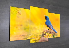 Tríptico escalonado Pájaros 21 en internet