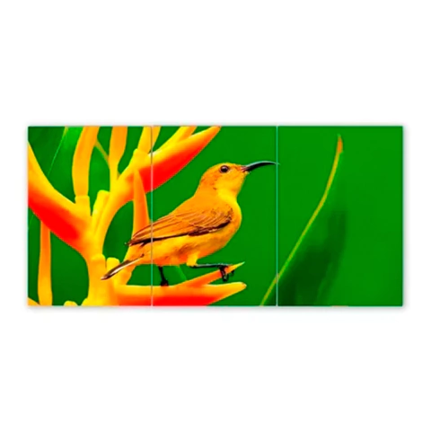 Tríptico simple Pájaros 22