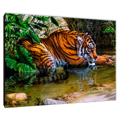 Tigres 220 - comprar online