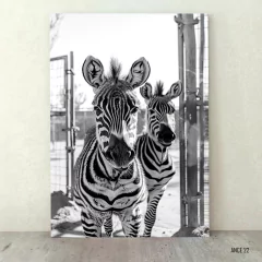 Cebras 22 - comprar online