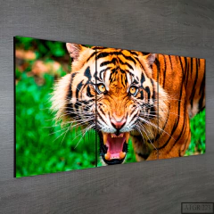 Tríptico simple Tigres 223 - comprar online