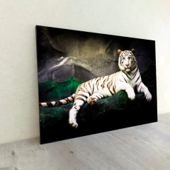 Tigres 228 - MetaXroma