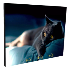 Portallaves de pared Gatos 24