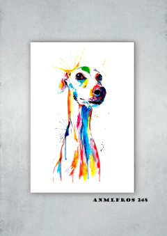 Perros 248 en internet