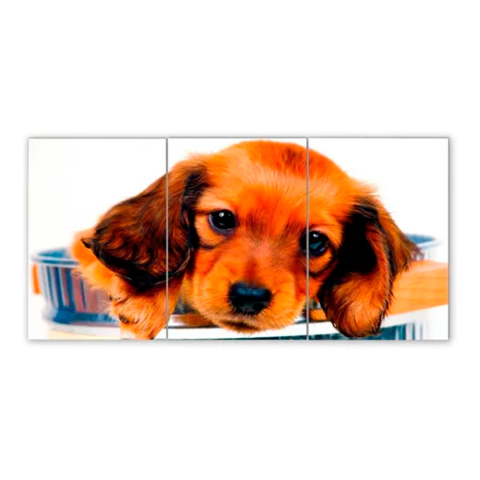 Tríptico simple Perros 26