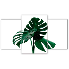 Tríptico escalonado Hojas 26