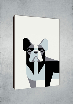 Perros 265 - MetaXroma