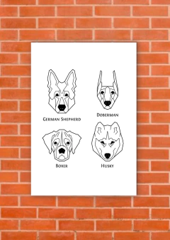 Perros 267 - tienda online