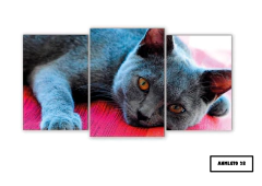 Tríptico escalonado Gatos 28 - comprar online
