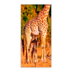 Tríptico simple Jirafas 3