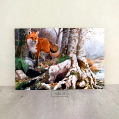 Zorros 30 - comprar online