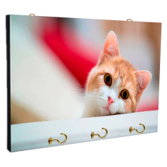 Portallaves de pared Gatos 31