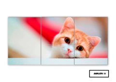 Tríptico simple Gatos 31 - comprar online