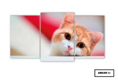 Tríptico escalonado Gatos 31 - comprar online
