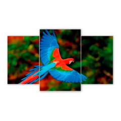 Tríptico escalonado Pájaros 32