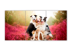 Tríptico simple Perros 32 - comprar online