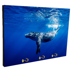 Portallaves de pared Animales Varios 32