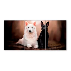 Tríptico simple Perros 33