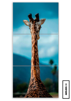 Tríptico simple Jirafas 33 - comprar online