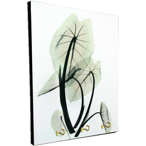 Portallaves de pared Hojas 345