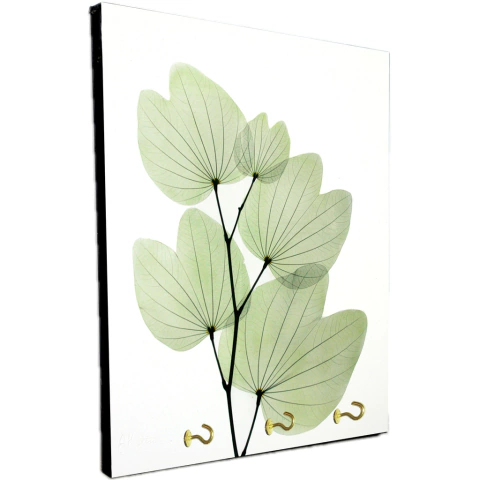 Portallaves de pared Hojas 370