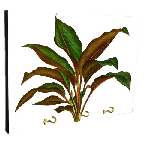 Portallaves de pared Hojas 383