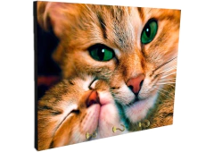 Portallaves de pared Gatos 38 - comprar online