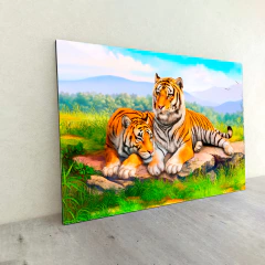 Tigres 39 - MetaXroma