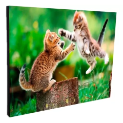 Portallaves de pared Gatos 40