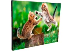 Portallaves de pared Gatos 40 - comprar online