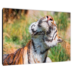 Tigres 42 - comprar online