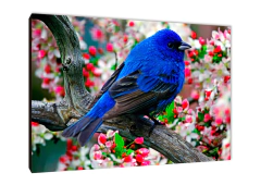 Pájaros 43 - comprar online