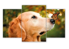 Tríptico escalonado Perros 43 - comprar online