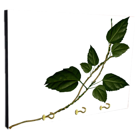 Portallaves de pared Hojas 432