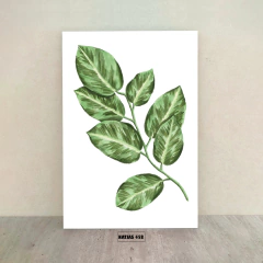 Hojas 458 en internet